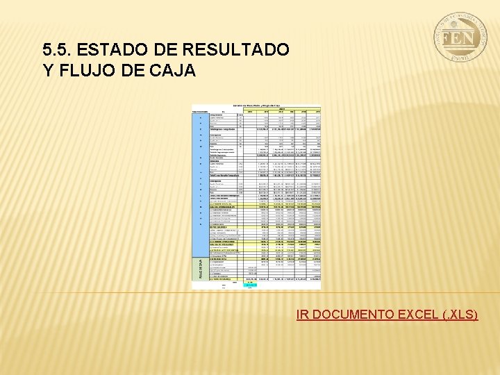 5. 5. ESTADO DE RESULTADO Y FLUJO DE CAJA IR DOCUMENTO EXCEL (. XLS)
