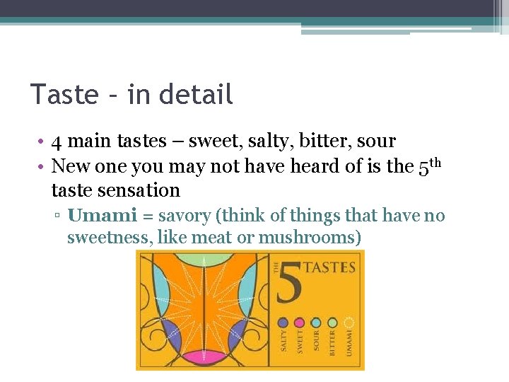 Taste – in detail • 4 main tastes – sweet, salty, bitter, sour •