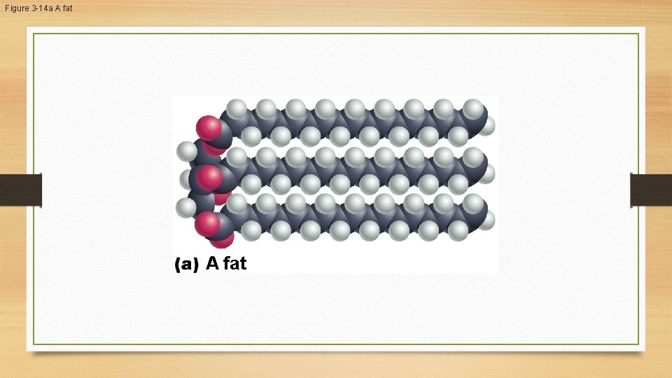 Figure 3 -14 a A fat Figure 3 -14 a A fat