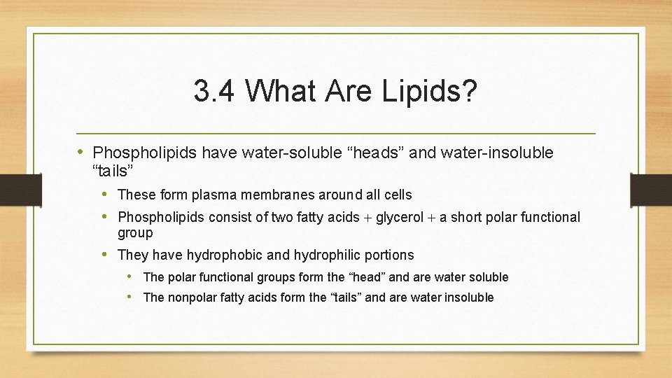 3. 4 What Are Lipids? • Phospholipids have water-soluble “heads” and water-insoluble “tails” • 3. 4 What Are Lipids? • Phospholipids have water-soluble “heads” and water-insoluble “tails” •