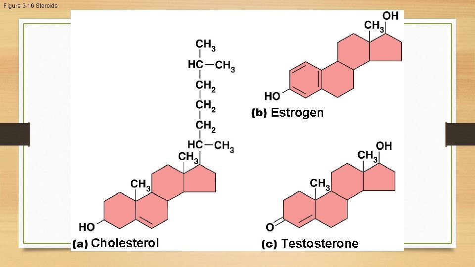 Figure 3 -16 Steroids Estrogen Cholesterol Testosterone Figure 3 -16 Steroids Estrogen Cholesterol Testosterone