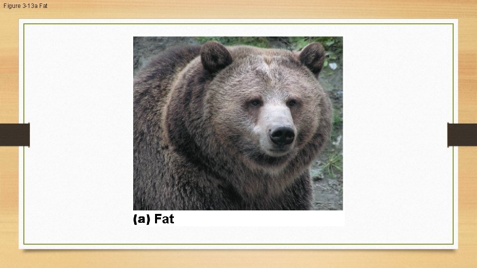 Figure 3 -13 a Fat Figure 3 -13 a Fat