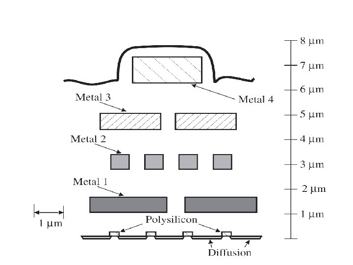 Relative size of different layers 