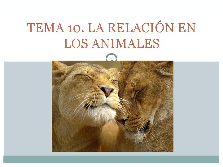 TEMA 10. LA RELACIÓN EN LOS ANIMALES 1 