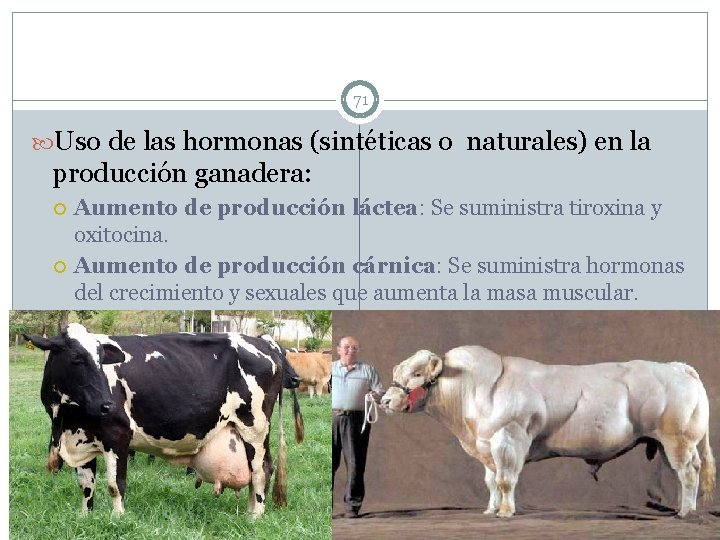 71 Uso de las hormonas (sintéticas o naturales) en la producción ganadera: Aumento de