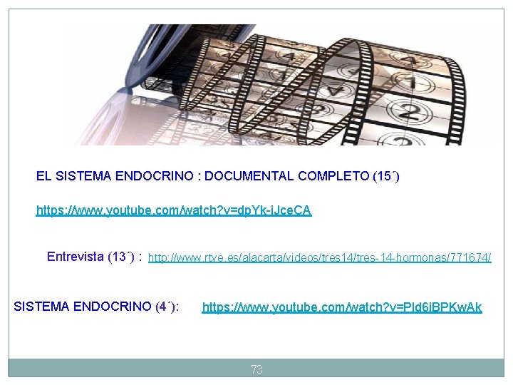 EL SISTEMA ENDOCRINO : DOCUMENTAL COMPLETO (15´) https: //www. youtube. com/watch? v=dp. Yk-i. Jce.