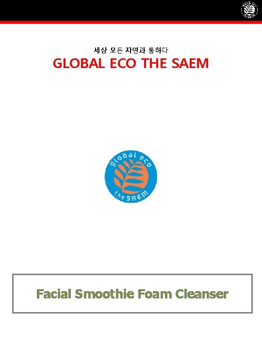 세상 모든 자연과 통하다 GLOBAL ECO THE SAEM Facial Smoothie Foam Cleanser 