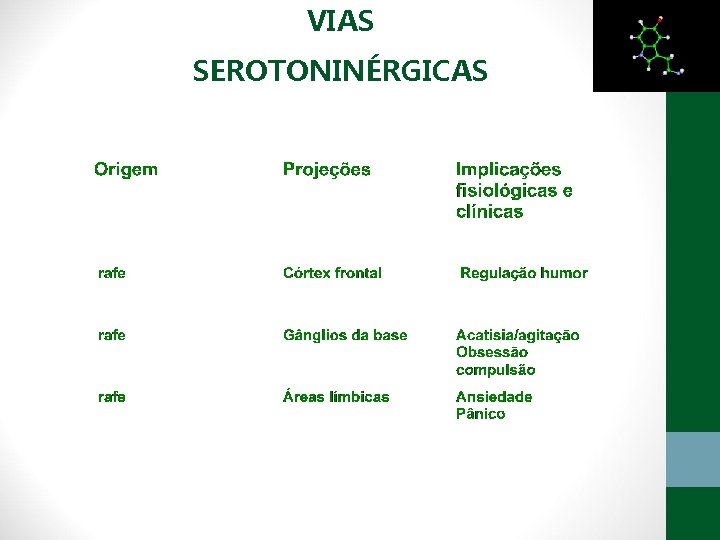 VIAS SEROTONINÉRGICAS 