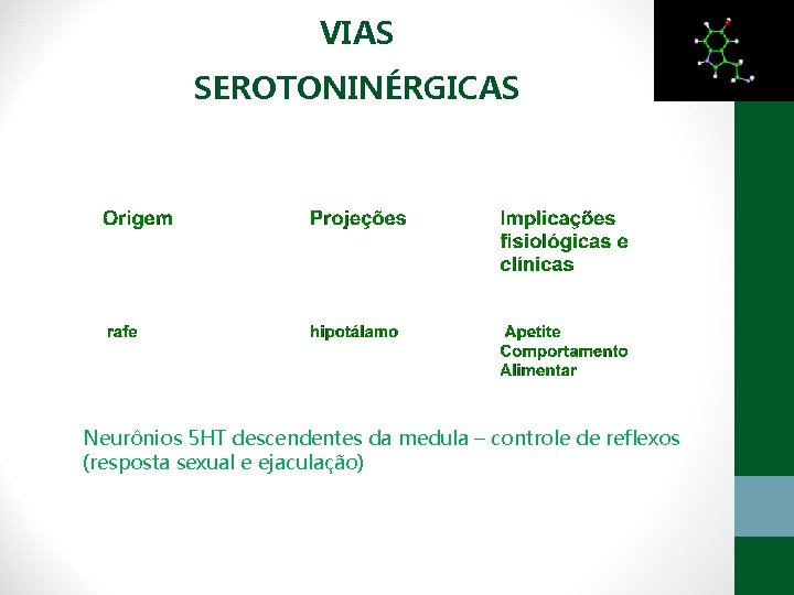 VIAS SEROTONINÉRGICAS Neurônios 5 HT descendentes da medula – controle de reflexos (resposta sexual