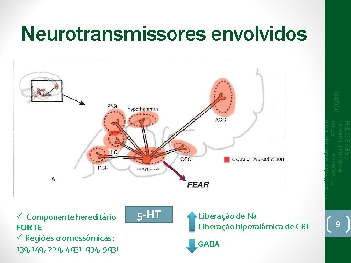 CT de Medicina de Urgência e Emergência CT de Medicina Intensiva CREMEC/CFM 3/3/2021 Neurotransmissores