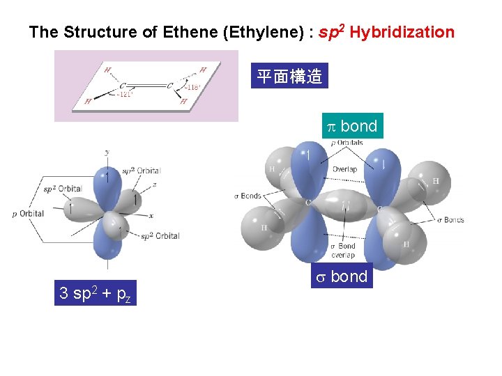 The Structure of Ethene (Ethylene) : sp 2 Hybridization 平面構造 bond 3 sp 2 The Structure of Ethene (Ethylene) : sp 2 Hybridization 平面構造 bond 3 sp 2