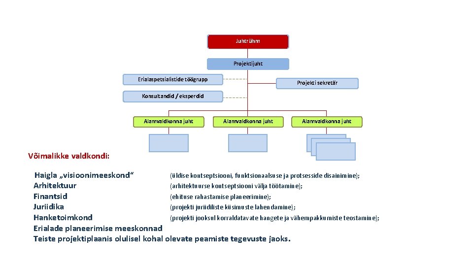 Juhtrühm Projektijuht Erialaspetsialistide töögrupp Projekti sekretär Konsultandid / eksperdid Alamvaldkonna juht Võimalikke valdkondi: Haigla