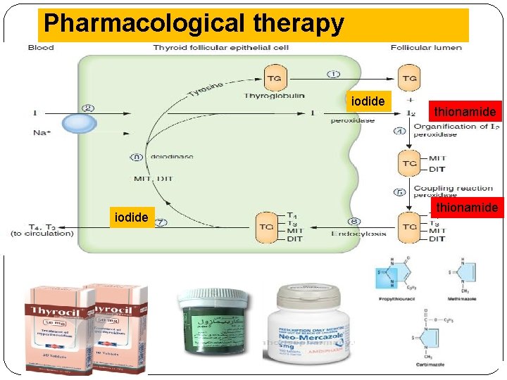 Pharmacological therapy iodide thionamide 