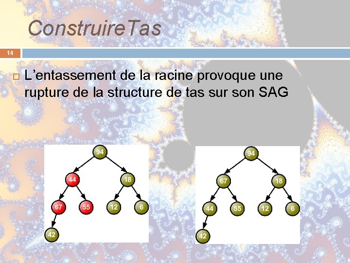 Construire. Tas 14 L’entassement de la racine provoque une rupture de la structure de Construire. Tas 14 L’entassement de la racine provoque une rupture de la structure de