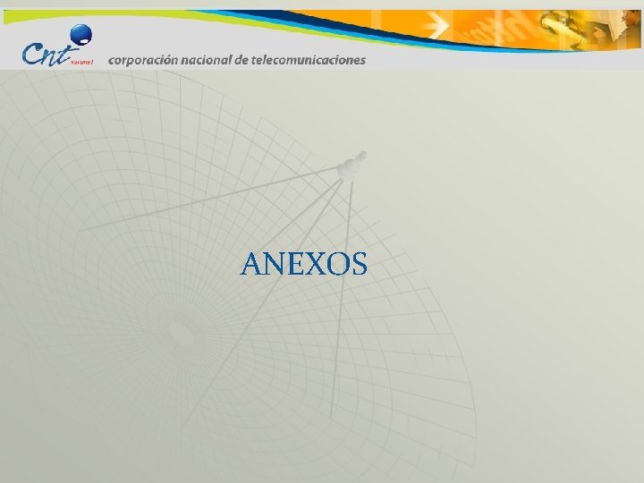 ANEXOS 