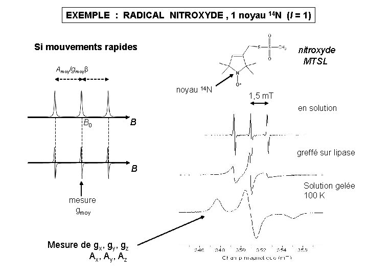 EXEMPLE : RADICAL NITROXYDE , 1 noyau 14 N (I = 1) Si mouvements EXEMPLE : RADICAL NITROXYDE , 1 noyau 14 N (I = 1) Si mouvements