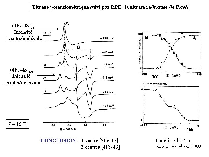 Titrage potentiométrique suivi par RPE: la nitrate réductase de E. coli (3 Fe-4 S)ox Titrage potentiométrique suivi par RPE: la nitrate réductase de E. coli (3 Fe-4 S)ox