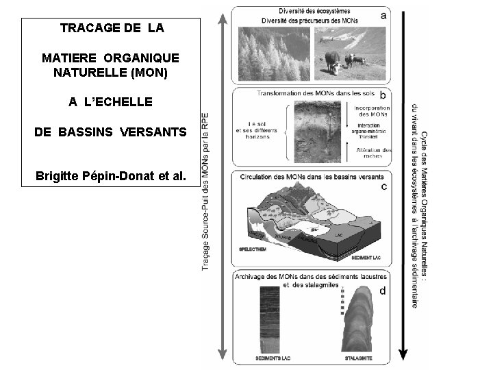 TRACAGE DE LA MATIERE ORGANIQUE NATURELLE (MON) A L’ECHELLE DE BASSINS VERSANTS Brigitte TRACAGE DE LA MATIERE ORGANIQUE NATURELLE (MON) A L’ECHELLE DE BASSINS VERSANTS Brigitte