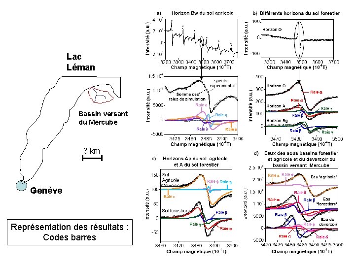 Lac Léman Bassin versant du Mercube 3 km Genève Représentation des résultats : Codes Lac Léman Bassin versant du Mercube 3 km Genève Représentation des résultats : Codes
