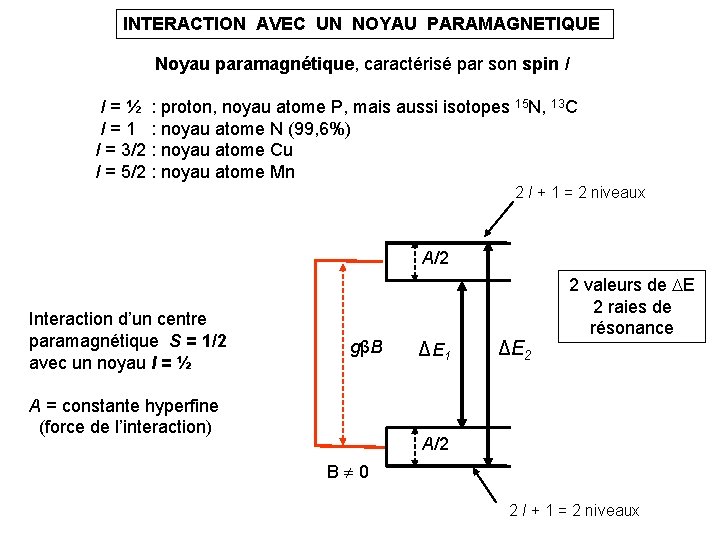 INTERACTION AVEC UN NOYAU PARAMAGNETIQUE Noyau paramagnétique, caractérisé par son spin I I = INTERACTION AVEC UN NOYAU PARAMAGNETIQUE Noyau paramagnétique, caractérisé par son spin I I =