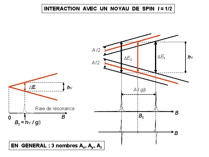 INTERACTION AVEC UN NOYAU DE SPIN I = 1/2 A /2 E h E INTERACTION AVEC UN NOYAU DE SPIN I = 1/2 A /2 E h E