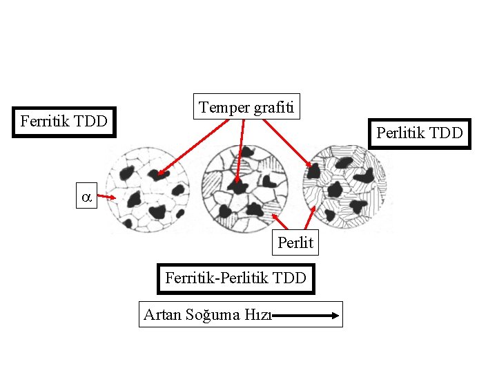 Ferritik TDD Temper grafiti Perlitik TDD Perlit Ferritik-Perlitik TDD Artan Soğuma Hızı 