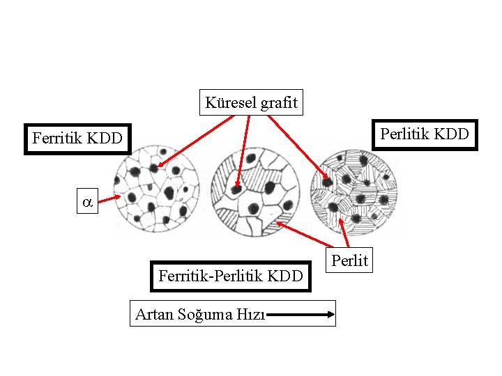 Küresel grafit Perlitik KDD Ferritik-Perlitik KDD Artan Soğuma Hızı Perlit 