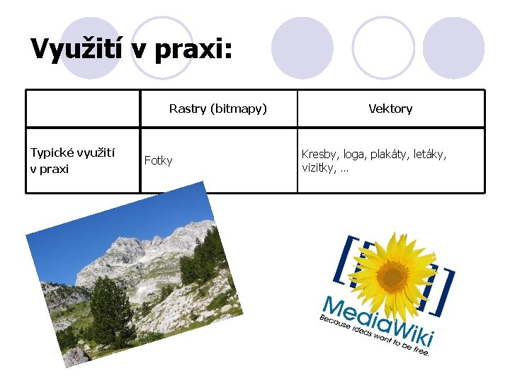 Využití v praxi: Rastry (bitmapy) Typické využití v praxi Fotky Vektory Kresby, loga, plakáty,