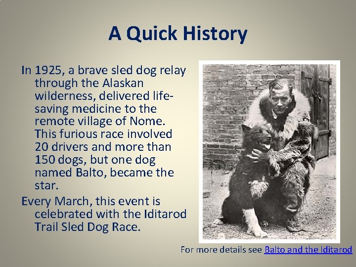 A Quick History In 1925, a brave sled dog relay through the Alaskan wilderness,