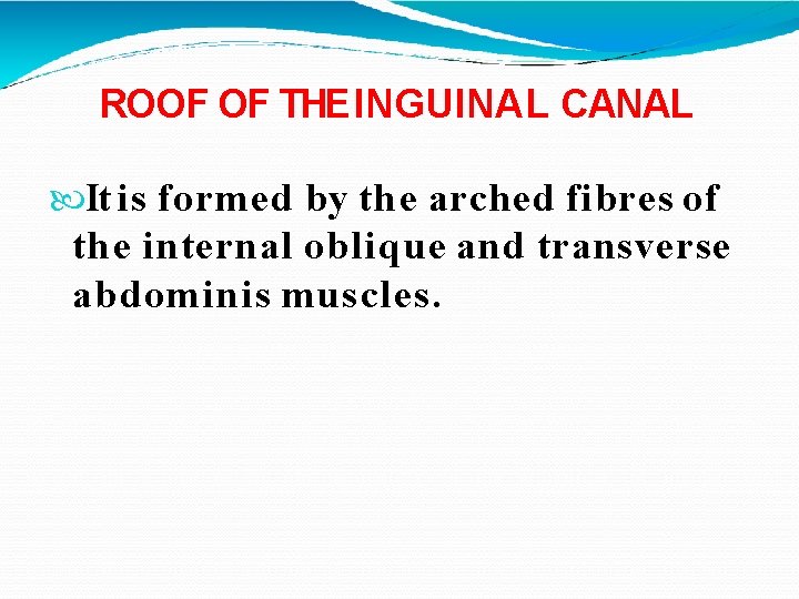 ROOF OF THE INGUINAL CANAL It is formed by the arched fibres of the
