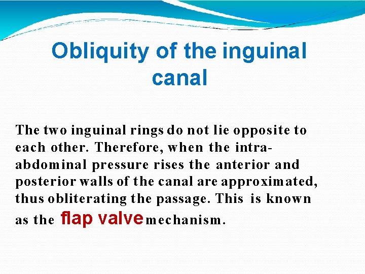 Obliquity of the inguinal canal The two inguinal rings do not lie opposite to
