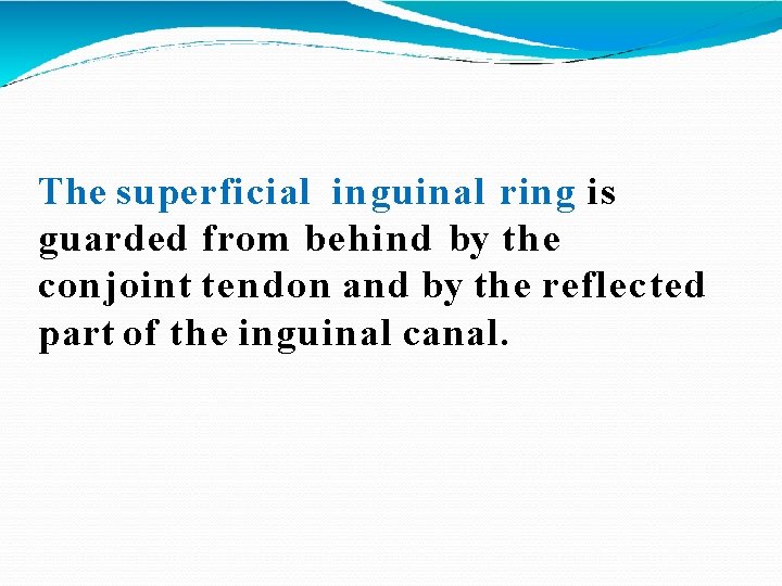 The superficial inguinal ring is guarded from behind by the conjoint tendon and by