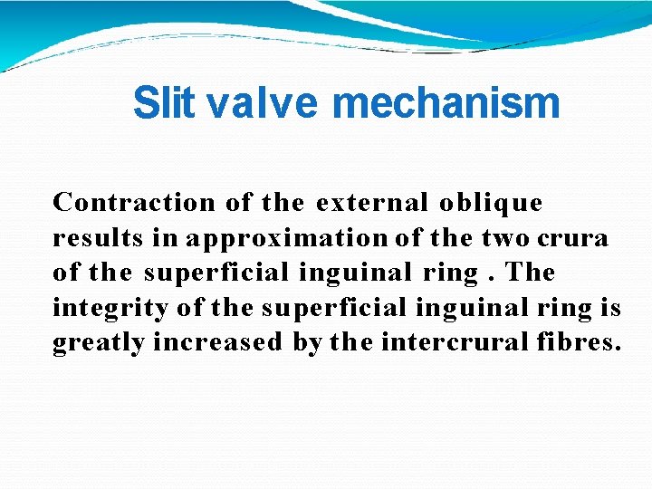 Slit valve mechanism Contraction of the external oblique results in approximation of the two
