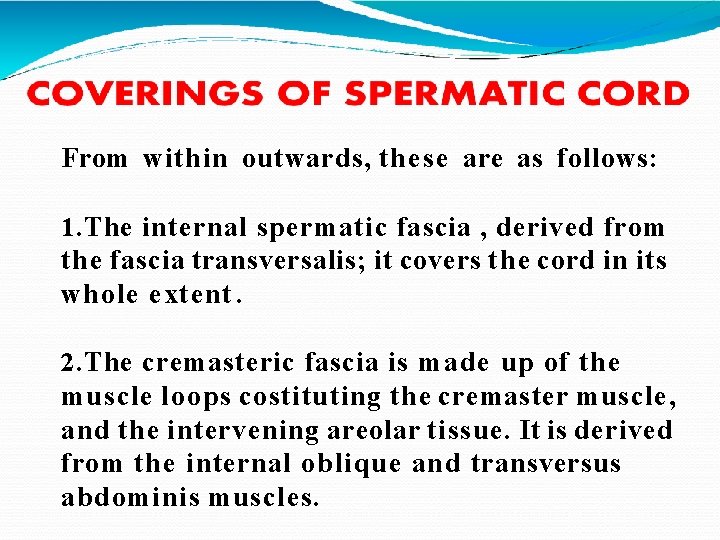 From within outwards, these are as follows: 1. The internal spermatic fascia , derived