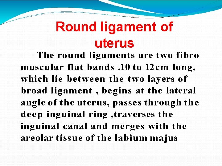 Round ligament of uterus The round ligaments are two fibro muscular flat bands ,