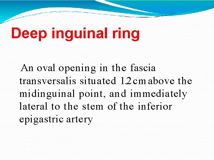 Deep inguinal ring An oval opening in the fascia transversalis situated 1. 2 cm