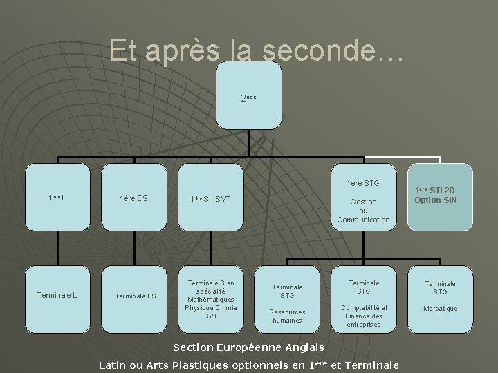 Et après la seconde… 2 nde 1ère STG 1ère L Terminale L 1ère ES