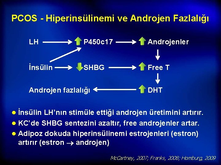 PCOS - Hiperinsülinemi ve Androjen Fazlalığı LH P 450 c 17 Androjenler İnsülin SHBG