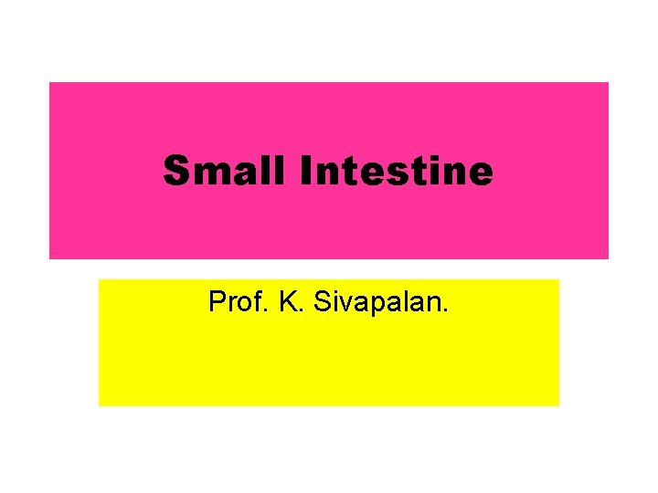 Small Intestine Prof. K. Sivapalan. 