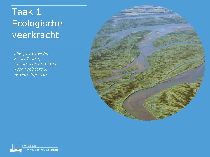 Taak 1 Ecologische veerkracht Marijn Tangelder, Karin Troost, Douwe van den Ende, Tom Ysebaert