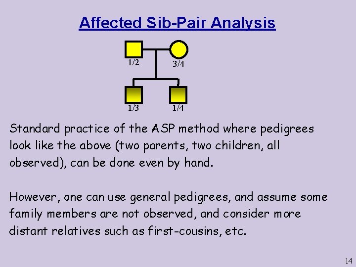 Affected Sib-Pair Analysis 1/2 3/4 1/3 1/4 Standard practice of the ASP method where