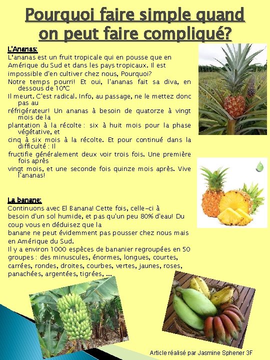 Pourquoi faire simple quand on peut faire compliqué? L'Ananas: L‘ananas est un fruit tropicale