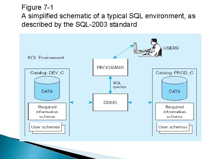 Figure 7 -1 A simplified schematic of a typical SQL environment, as described by