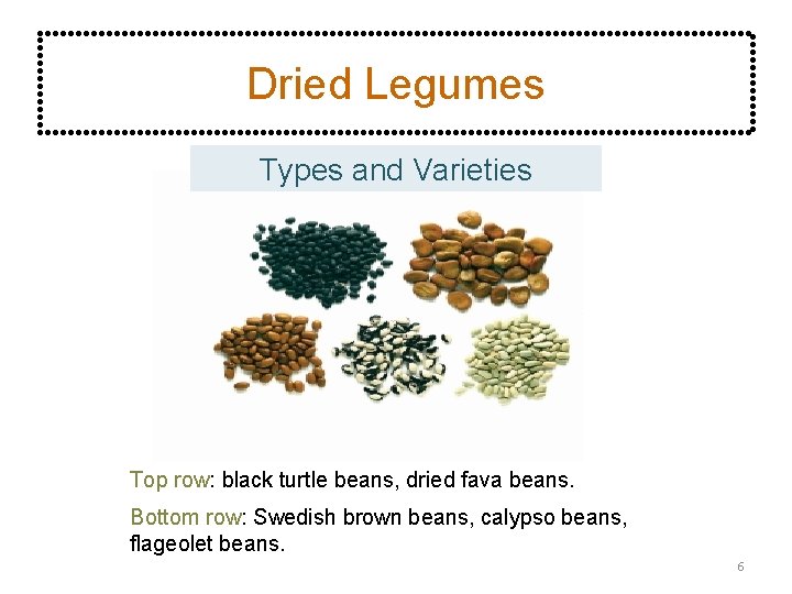 Dried Legumes Types and Varieties Top row: black turtle beans, dried fava beans. Bottom