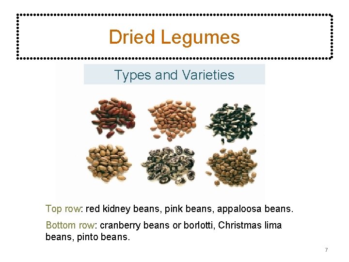 Dried Legumes Types and Varieties Top row: red kidney beans, pink beans, appaloosa beans.