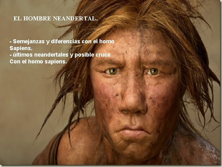 EL HOMBRE NEANDERTAL. - Semejanzas y diferencias con el homo Sapiens. - últimos neandertales