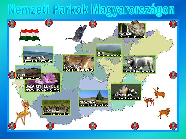 Nemzeti Parkok Magyarországon 