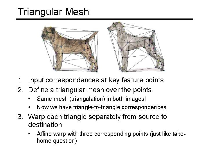 Triangular Mesh 1. Input correspondences at key feature points 2. Define a triangular mesh