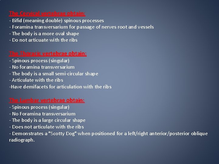 The Cervical vertebrae obtain: - Bifid (meaning double) spinous processes - Foramina transversarium for The Cervical vertebrae obtain: - Bifid (meaning double) spinous processes - Foramina transversarium for