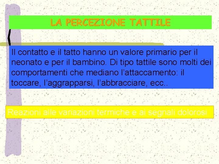 LA PERCEZIONE TATTILE Il contatto e il tatto hanno un valore primario per il